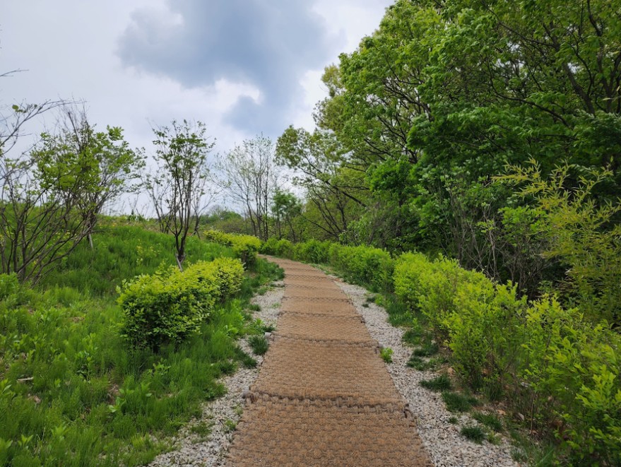 천왕산 생태공원 전경 5